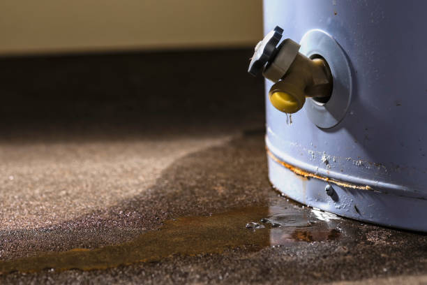 Best Basement water damage restoration  in Ofallon, MO