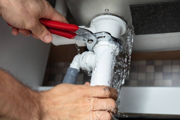 Best Water damage contractors near me  in Ofallon, MO