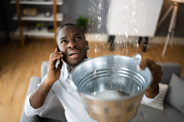 Best Local water damage restoration  in Ofallon, MO