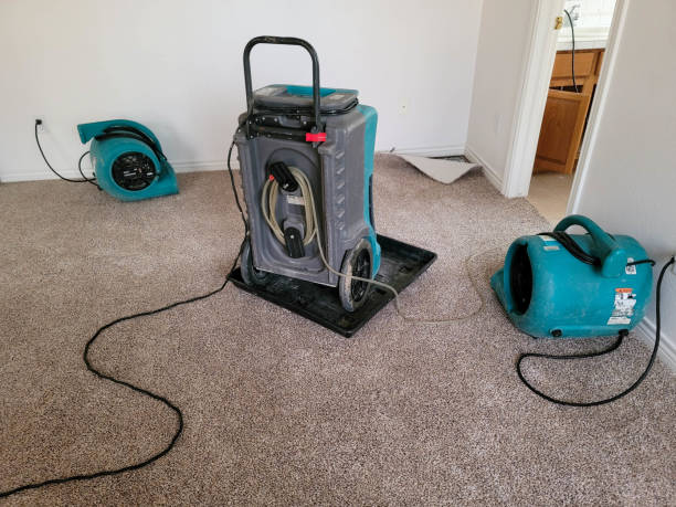 Best Flood restoration services  in Ofallon, MO
