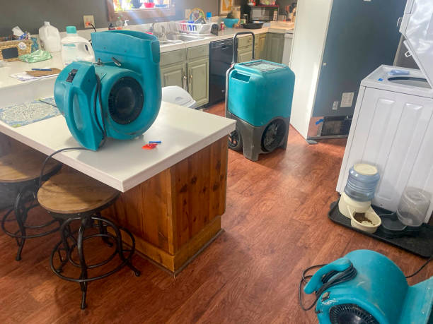 Best Ceiling water damage repair  in Ofallon, MO