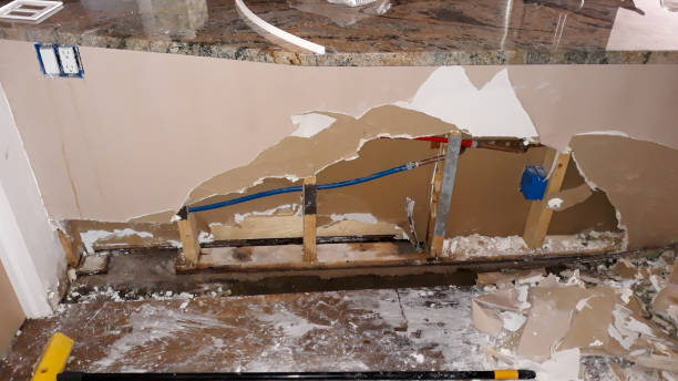 Best Professional water damage repair  in Ofallon, MO