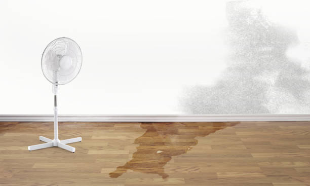 Best Residential water damage restoration  in Ofallon, MO