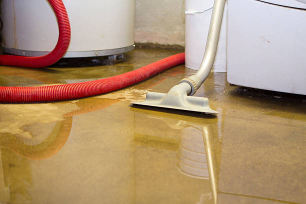 Best Carpet water damage restoration  in Ofallon, MO