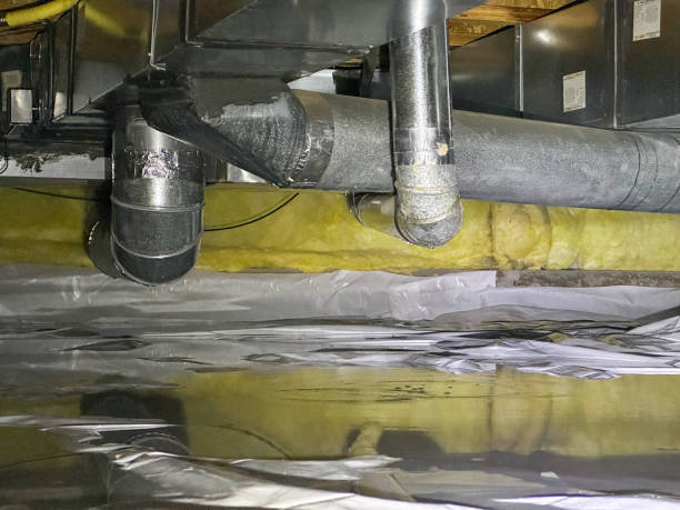 Best Water damage restoration insurance claims  in Ofallon, MO