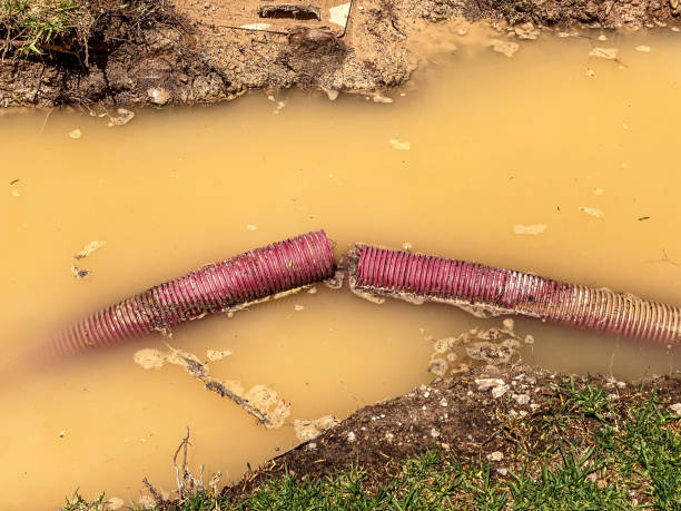 Best Basement water damage restoration  in Ofallon, MO