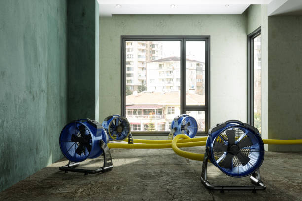 24/7 water damage repair in MO